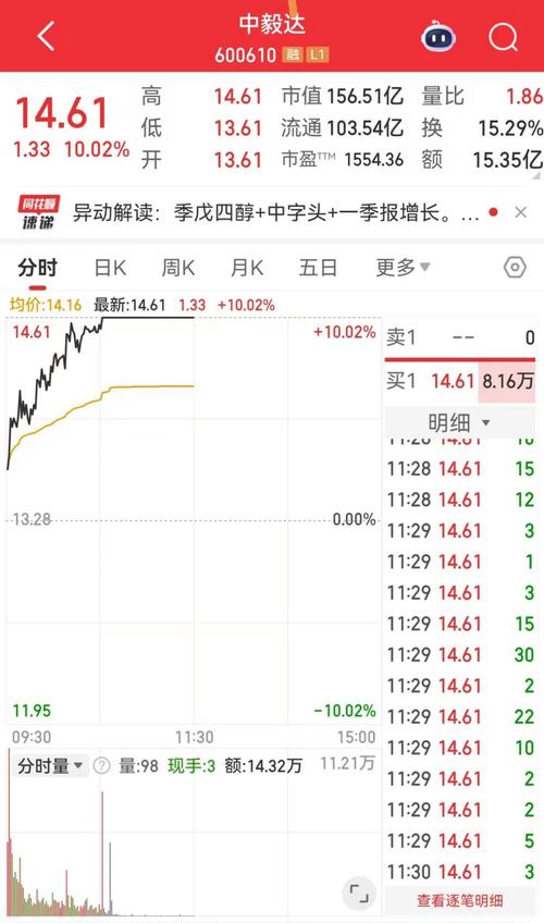 中毅达股票涨停_中毅达股价波动分析_股票 高位