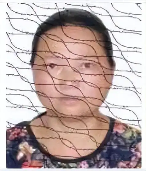 广西失信被执行人名单曝光_广西世创房地产投资有限公司 失信被执行人_港口区失信被执行人公告