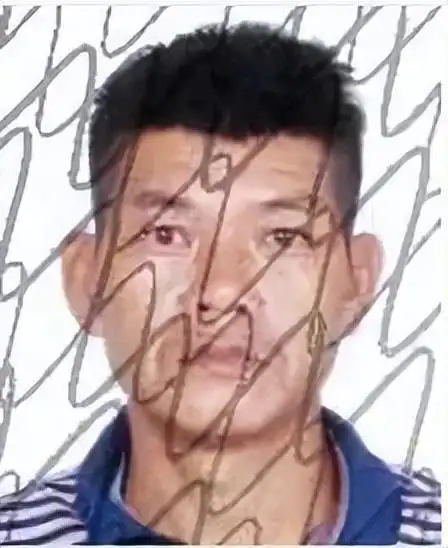 港口区失信被执行人公告_广西失信被执行人名单曝光_广西世创房地产投资有限公司 失信被执行人