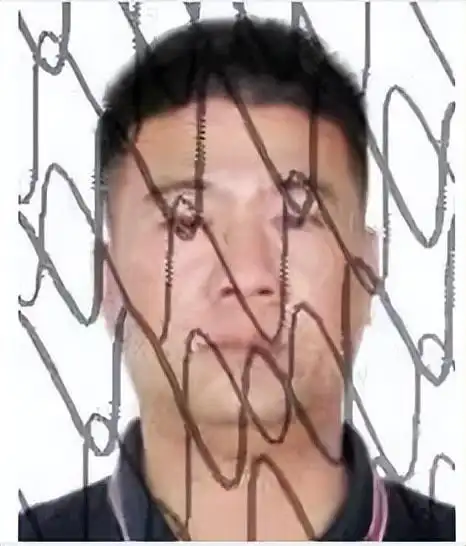 广西世创房地产投资有限公司 失信被执行人_港口区失信被执行人公告_广西失信被执行人名单曝光