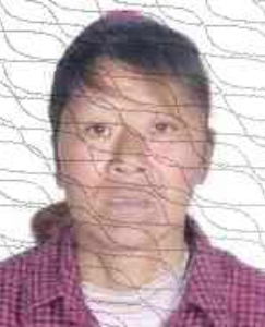 广西田林县人民法院失信被执行人_田林县失信被执行人名单_广西世创房地产投资有限公司 失信被执行人