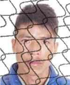 广西田林县人民法院失信被执行人_田林县失信被执行人名单_广西世创房地产投资有限公司 失信被执行人