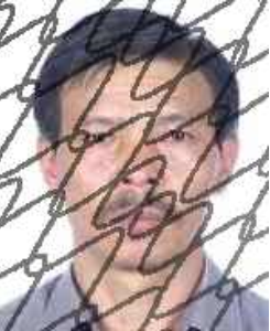 广西田林县人民法院失信被执行人_广西世创房地产投资有限公司 失信被执行人_田林县失信被执行人名单