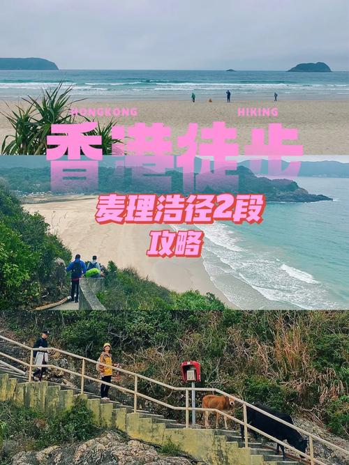 麦径第四段路线介绍_麦理浩径第四五段徒步活动_香港麦理浩径起源