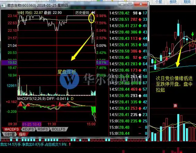 如何知道是龙头股_龙头股低吸_主升阶段分时低吸