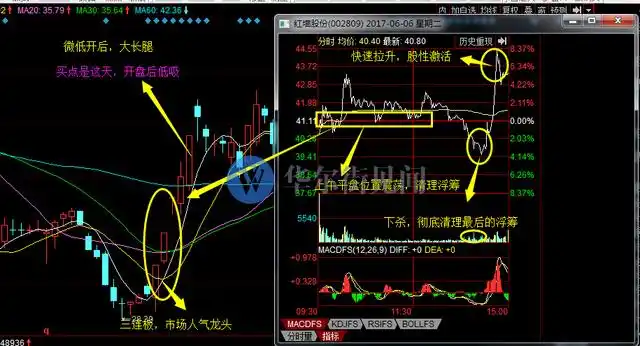 如何知道是龙头股_主升阶段分时低吸_龙头股低吸