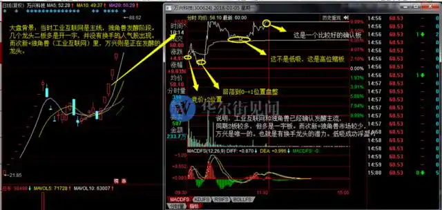 主升阶段分时低吸_如何知道是龙头股_龙头股低吸