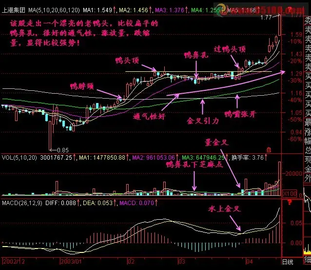 老鸭头形态识别_老鸭头选股公式_老鸭头选股公式源码