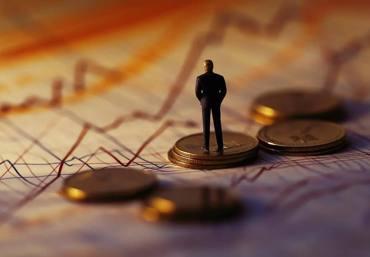 账户价值是什么意思_金融投资领域净值_净值定义