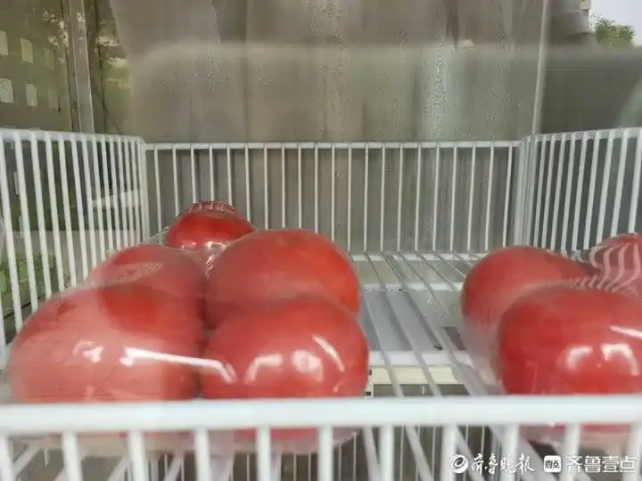 社区自助买菜_自动售菜机利润分析_济南自动售菜机