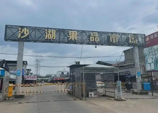 水果价格高原因_水果生意怎么做才赚钱_百果园盈利模式分析