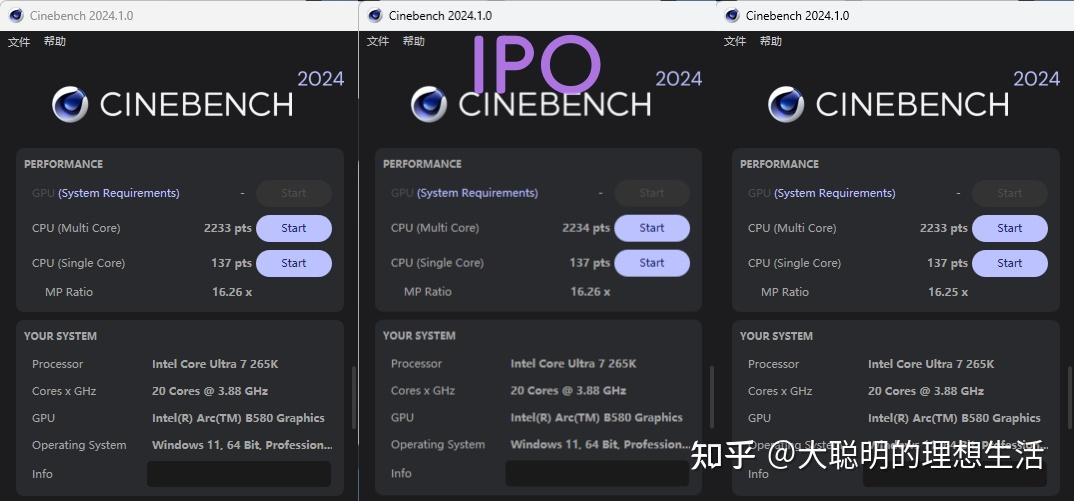 IPO技术优势_ipo程序是什么意思_Intel IPO技术是什么