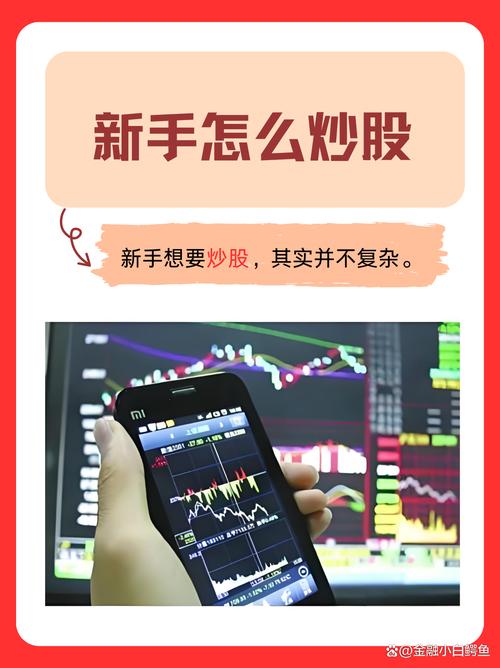 新手如何开户股票交易_第一次买股票最少要购买多少钱_股票交易规则与基础知识