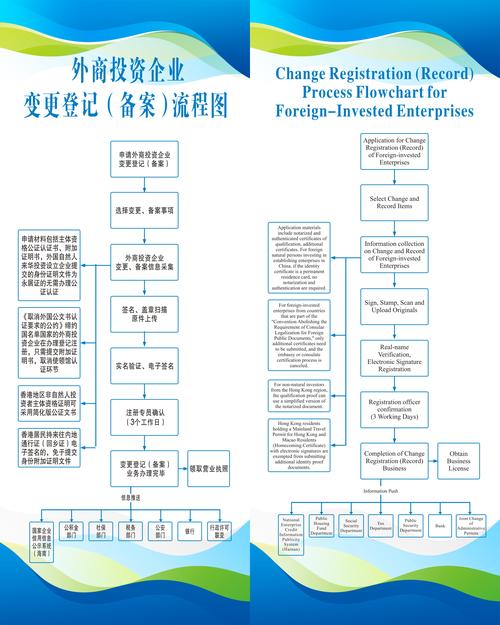 国家外汇管理局应用服务平台_FDI投资类型选择_外汇操作管理流程