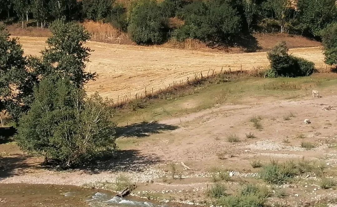 北交所下周无新股？REITs认购分析：万国VS南方，如何选择