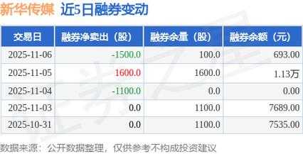 新华传媒集团股票代码查询与解析，投资者需关注的重要信息