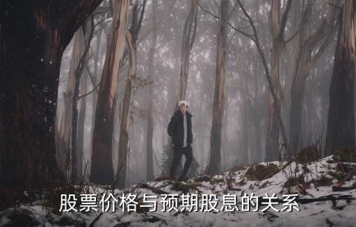 股票价格与预期股息的关系