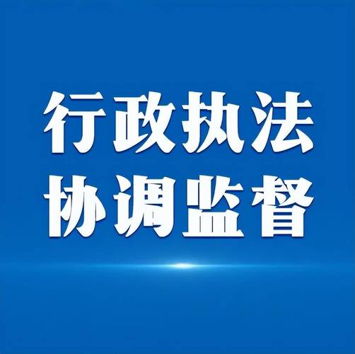 <strong>充分发挥监督作用，提升执法司法水平</strong>