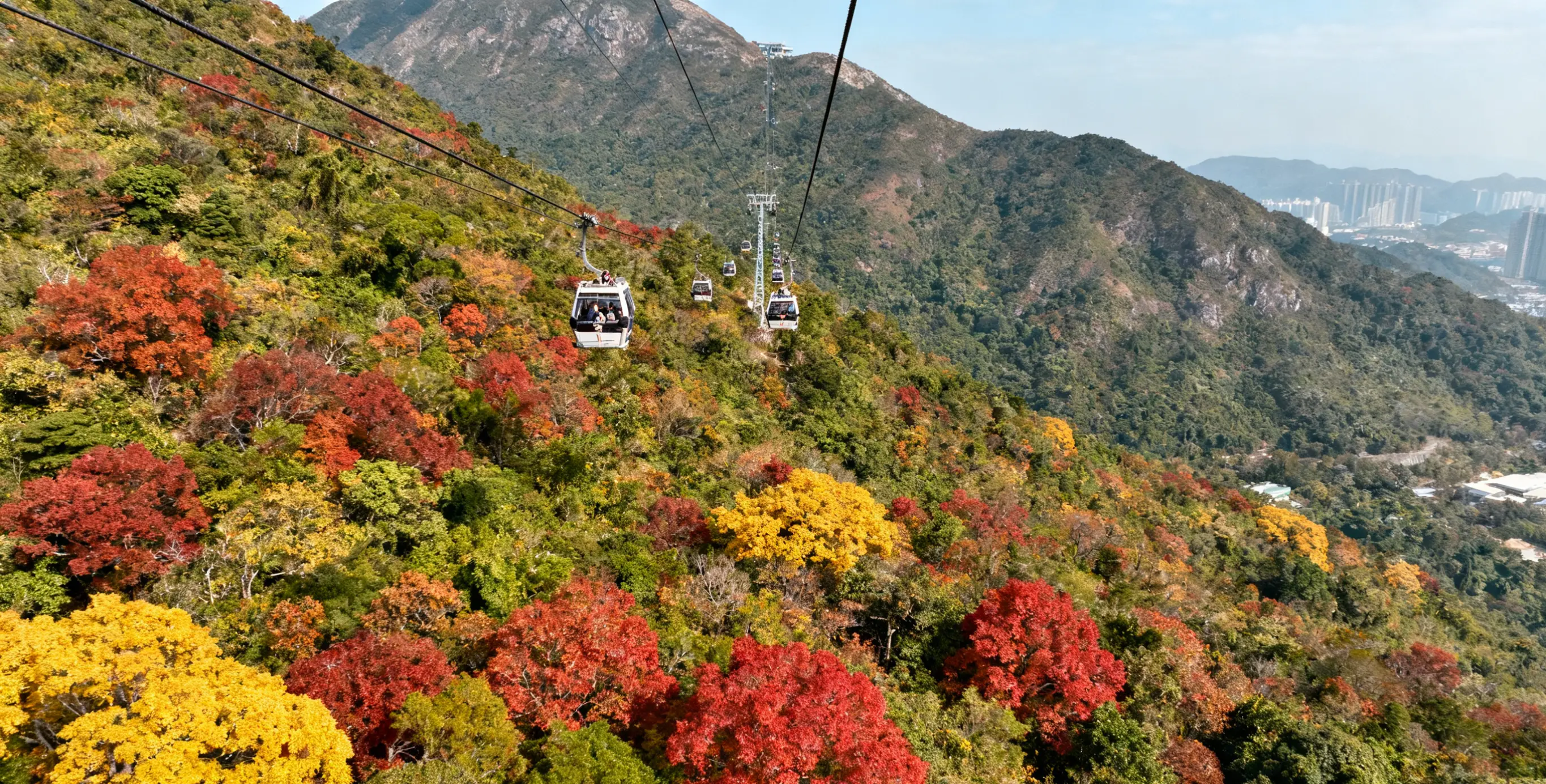 去港澳旅游要准备啥？证件货币支付等攻略及靠谱导游电话
