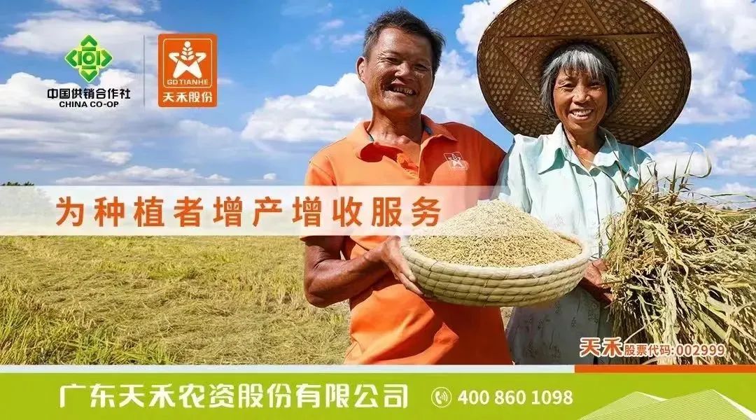 一铵价格走势分析_春耕磷肥市场行情_贵州 磷肥 价格