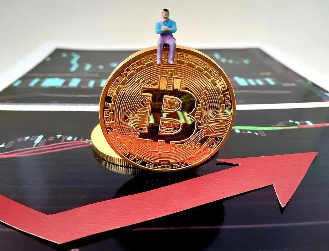 基金分红方式选择_基金红利再投资的计算方法_红利再投资与现金分红区别