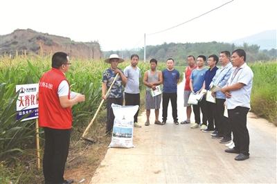 天脊集团产品创新_天脊集团技术创新_山西天脊化肥最新价格