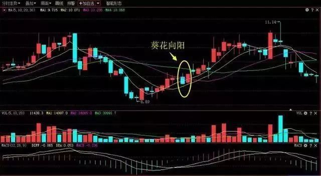 大双底形态经典股票_仙人指路空中加油_强势股K线形态