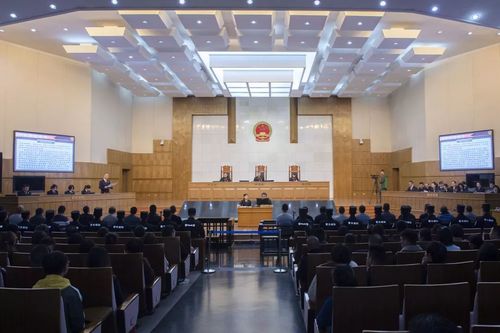 首例股民起诉绿大地证券虚假陈述民事索赔案_云南绿大地生物科技股份有限公司虚假陈述案_绿大地欺诈上市