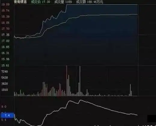 散户一次性买入多少股票会引起庄家注意_涨停板分析_涨停板方式
